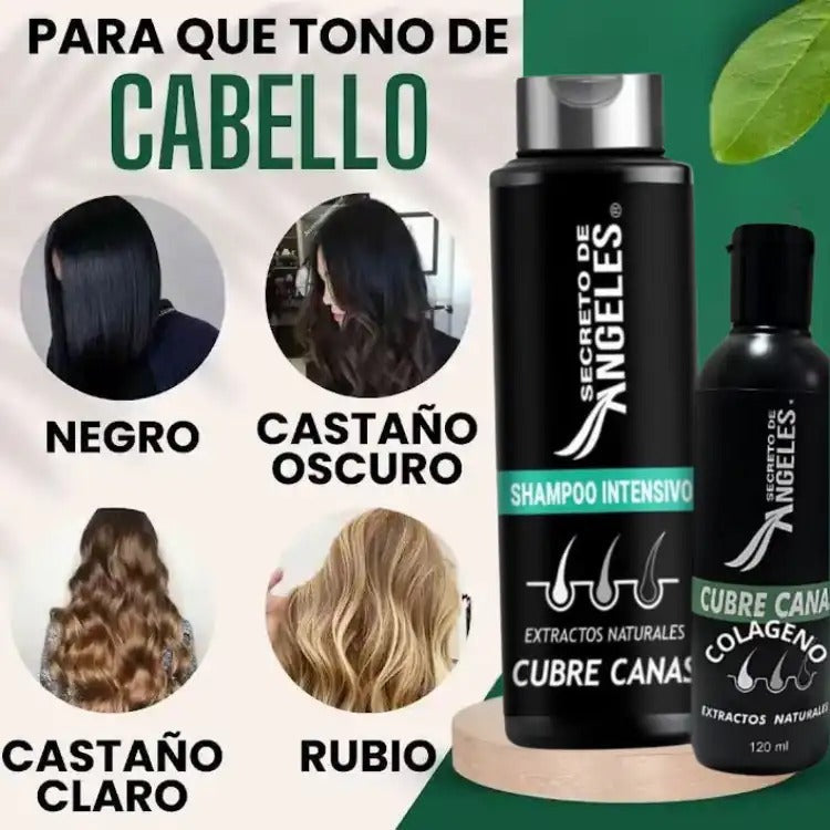 SHAMPOO CUBRE CANAS SECRETO DE ANGELES™
