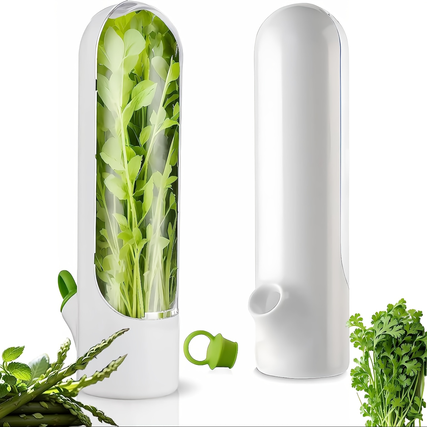 Conservador de vegetales, hierbas y especias
